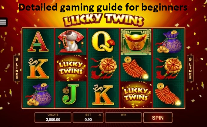 Detailed gaming Lucky Twins guide for beginners